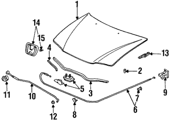 60100-SV4-010-K | BONETE ACCORD 94-95