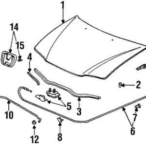 60100-SV4-010-K | BONETE ACCORD 94-95