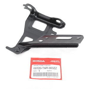 60120-S84-000 RH | PATA BONETE ACCORD 98-00 RH