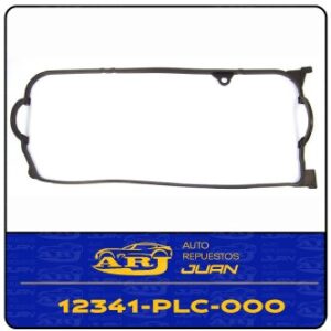 12341-PLC-000 ORG | JUNTA T/V CIVIC 01 04 ORG