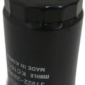 31922-2E900 ¦ 31922-2B900 ¦ EF | FILTRO GAS OIL H100