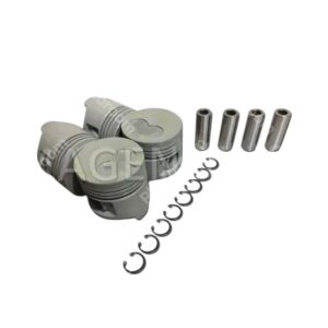 RF01-23-200-TIK | PISTON MOTOR RF STD