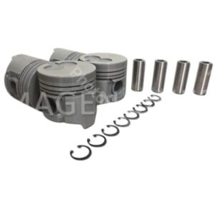 R2Y0-11-SA0-TIK STD | PISTON MOTOR R2 STD TIK