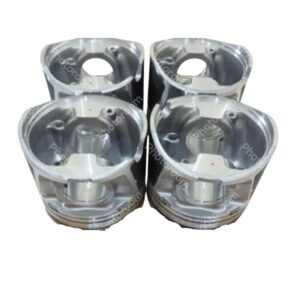 WEY1-11-SAO-TIK | PISTON MOTOR WE
