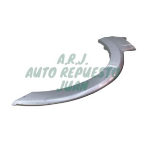 MN-117210 (GRIS) | FLARE GUARD DEL MONTERO DID 03-05 RH