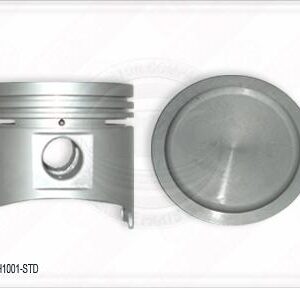 12010-H1000 CS | PISTON MOTOR A12 0.75