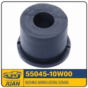 55045-10W00-TERADA | BUSHING MUELLE D21 86/95