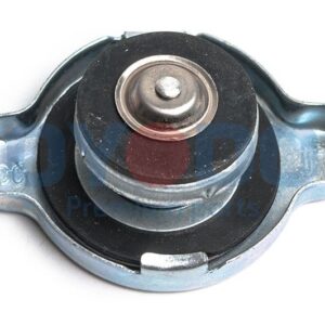 21430-54P00-JP | TAPON RAD NISSAN 1.2 118KPA