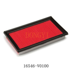 16546-V0100-NPPN | FILTRO AIRE